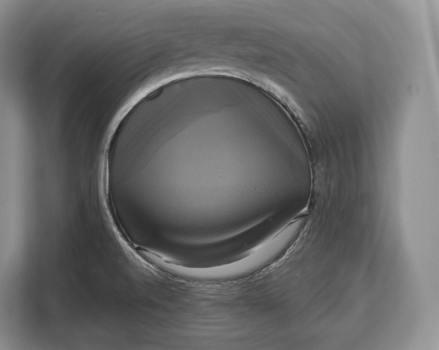 X0000113051520200909171531