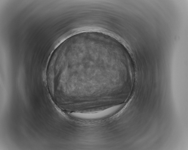 X0000113051521200909171531