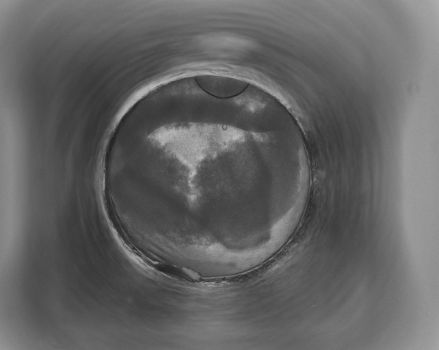 X0000113051523200909171531