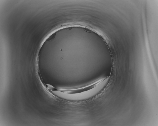 X0000113051524200909171531