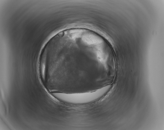 X0000113051525200909171531