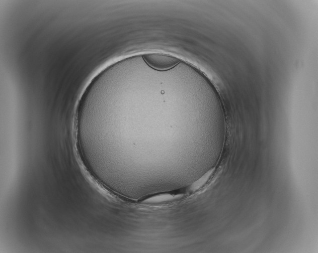 X0000113051526200909171531