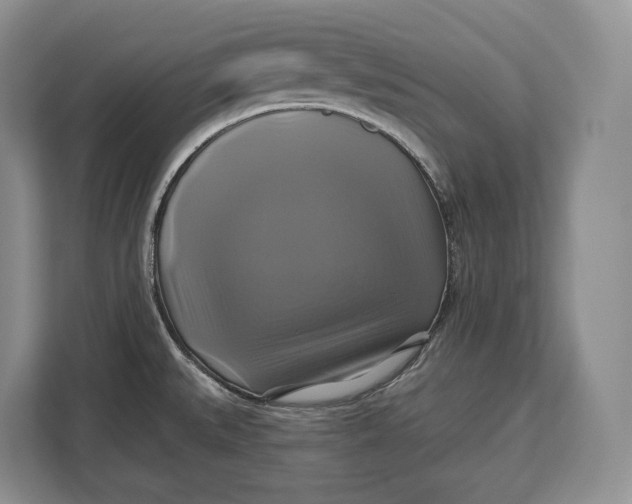 X0000113051527200909171531