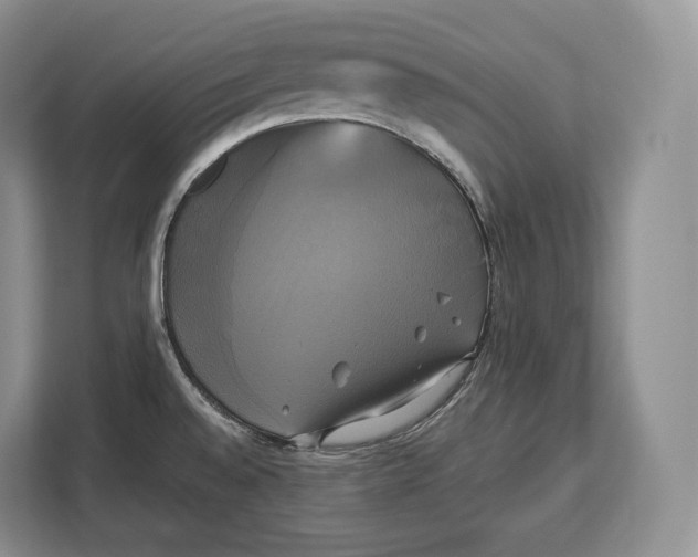 X0000113051528200909171531