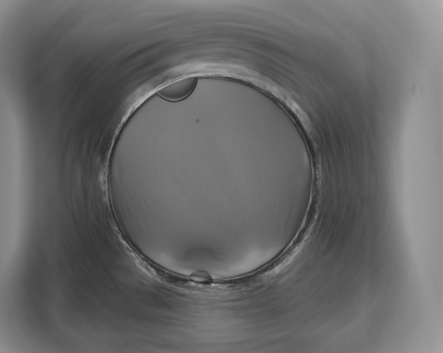 X0000113051529200909171531