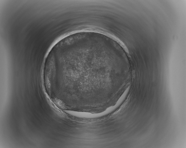 X0000113051530200909171531