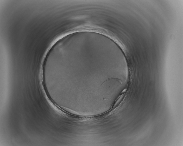 X0000113051531200909171531