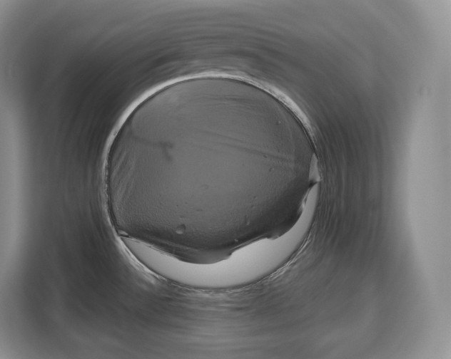 X0000113051532200909171531