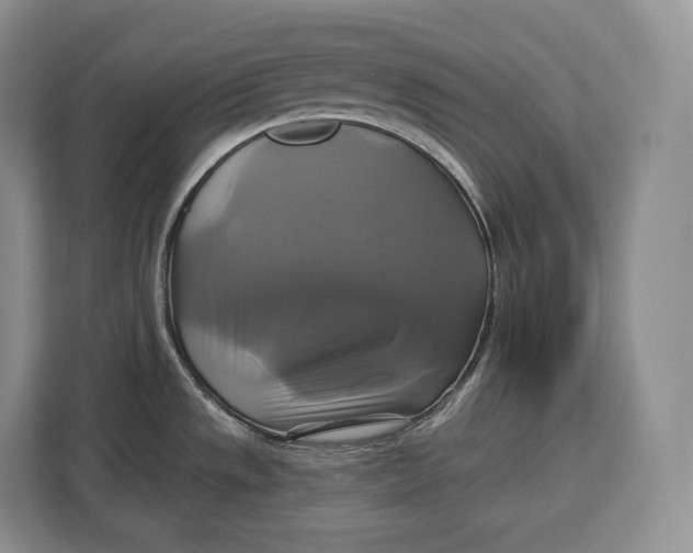 X0000113051533200909171531