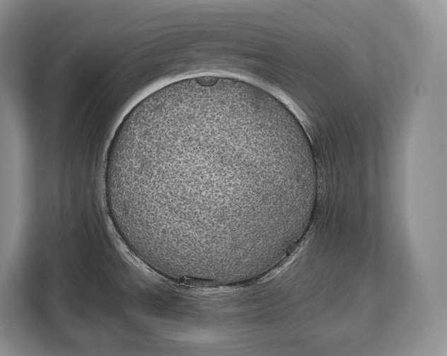 X0000113051534200909171531