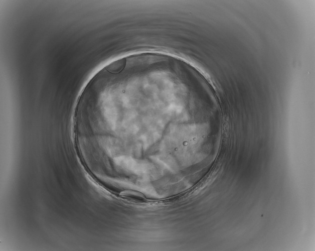 X0000113051535200909171531