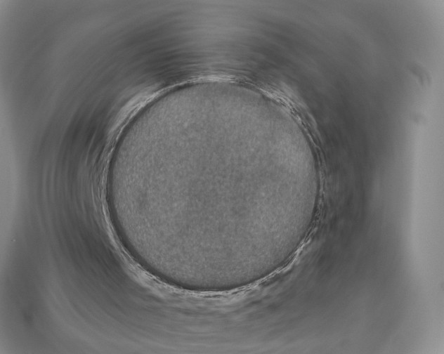 X0000113050001200909241505