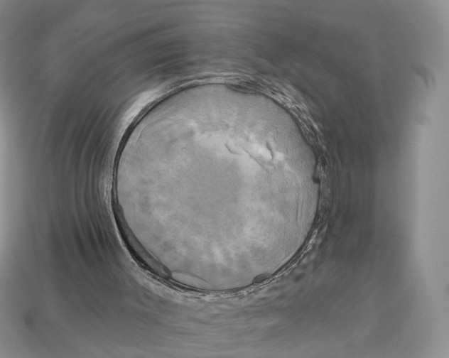 X0000113050003200909241505