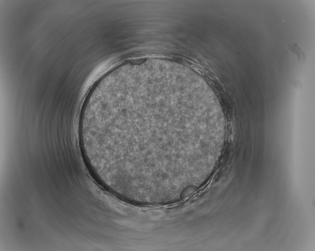 X0000113050004200909241505