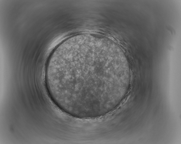 X0000113050005200909241505