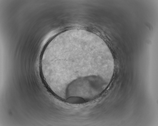X0000113050006200909241505