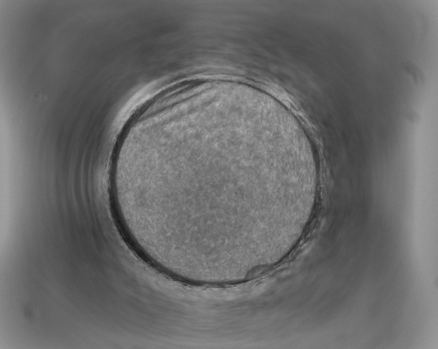 X0000113050007200909241504
