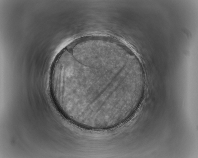 X0000113050008200909241504
