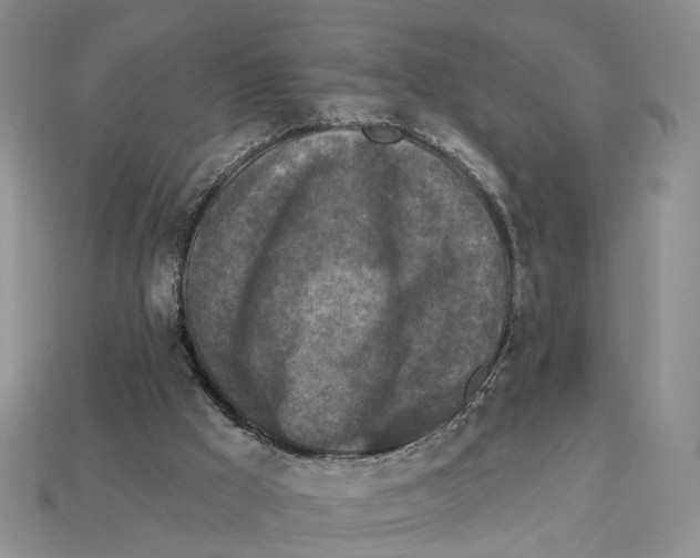 X0000113050009200909241504