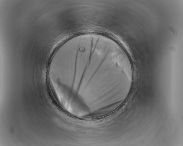 X0000113050010200909241504