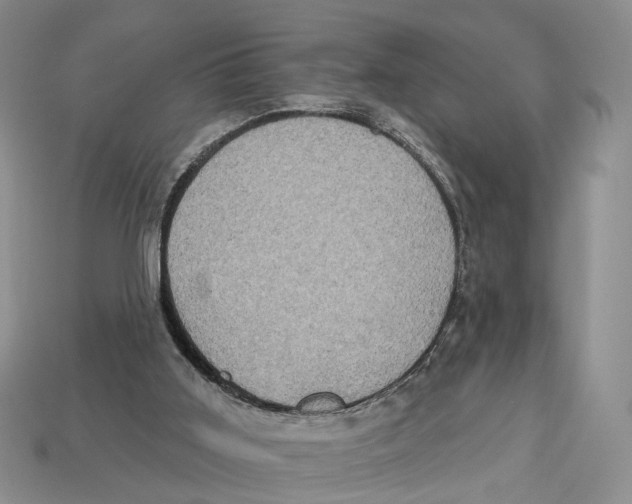 X0000113050011200909241504