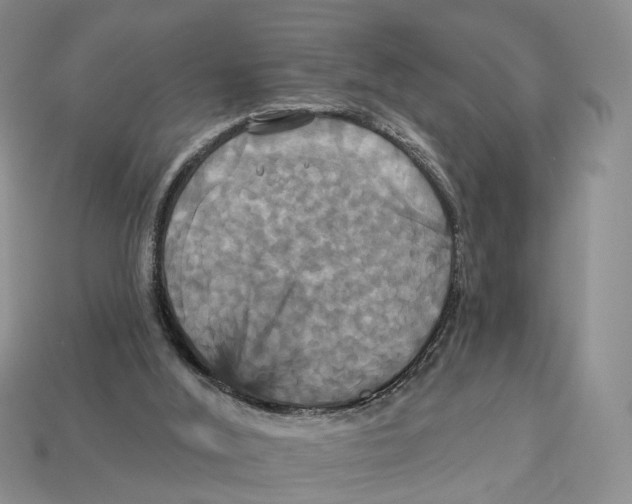 X0000113050012200909241504