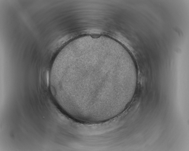 X0000113050013200909241504
