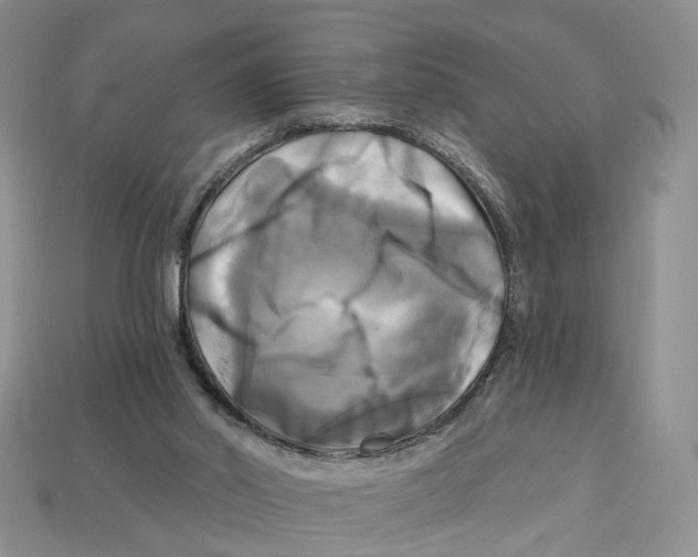 X0000113050014200909241504