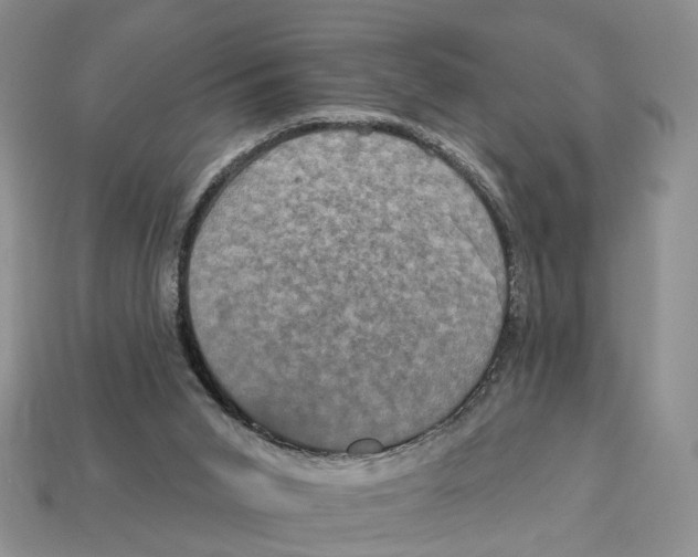 X0000113050015200909241504