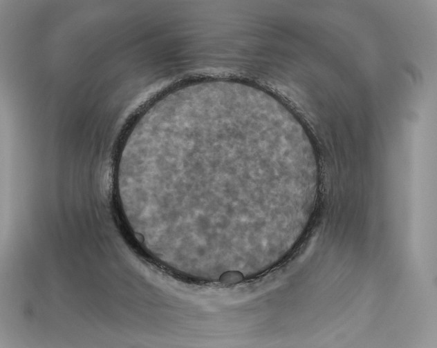 X0000113050016200909241504