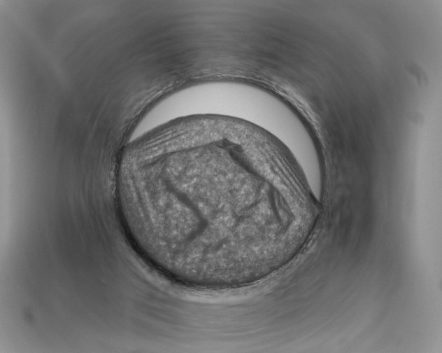 X0000113050017200909241504