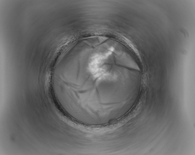 X0000113050018200909241504