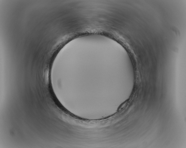 X0000113050019200909241504