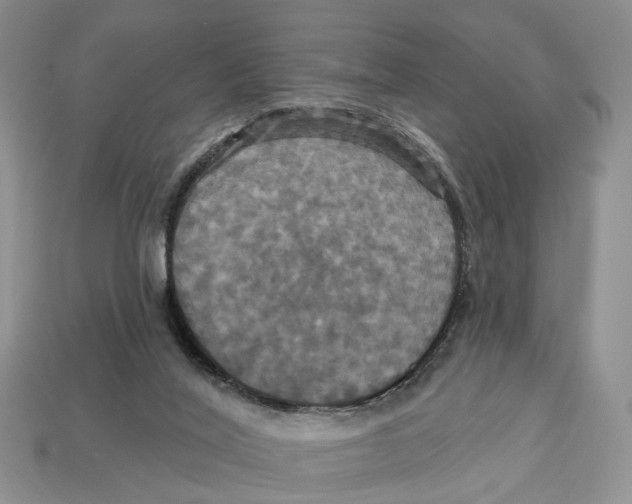 X0000113050020200909241504