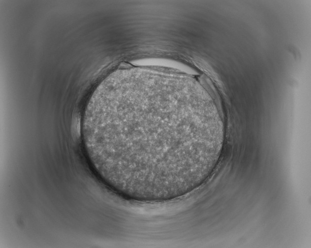 X0000113050021200909241504