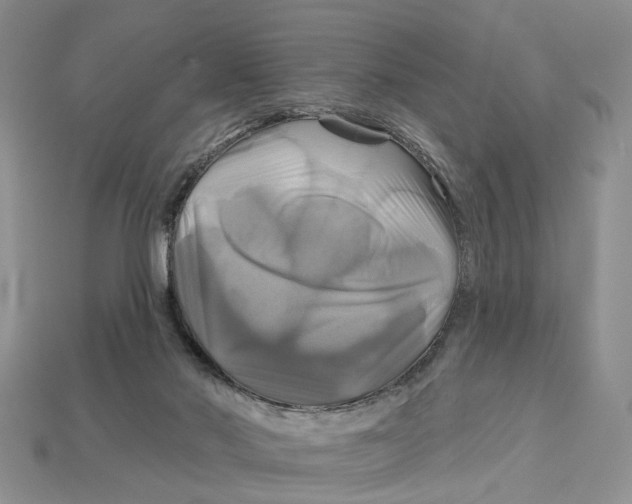 X0000113050022200909241504