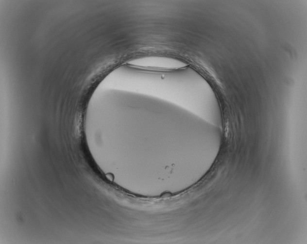 X0000113050023200909241504