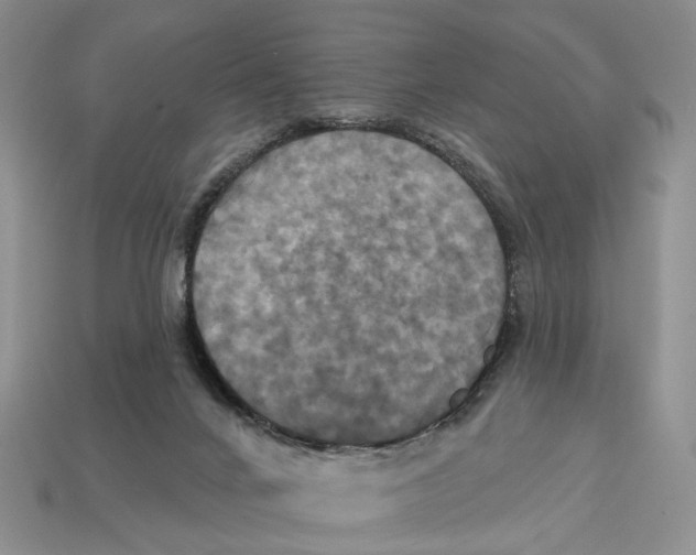 X0000113050024200909241504