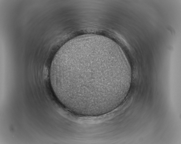 X0000113050025200909241504