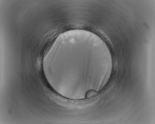 X0000113050026200909241504
