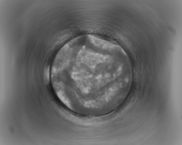 X0000113050028200909241504