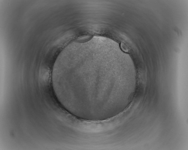 X0000113050029200909241504