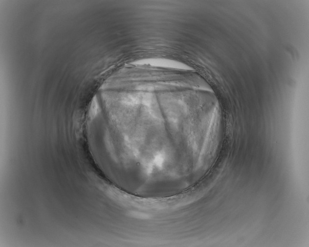 X0000113050030200909241504