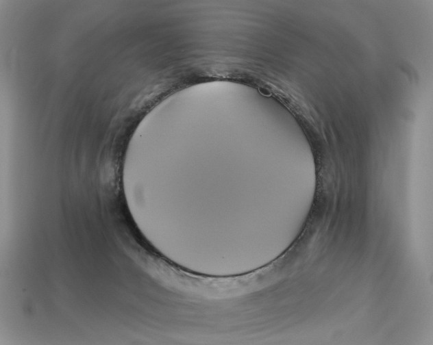 X0000113050031200909241504