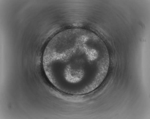 X0000113050032200909241504
