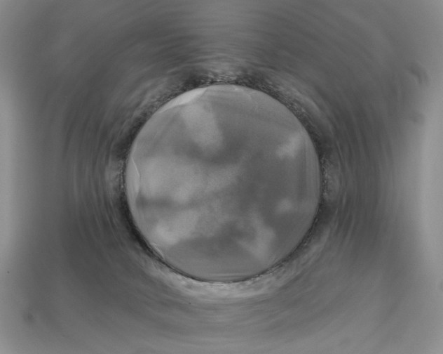 X0000113050034200909241504