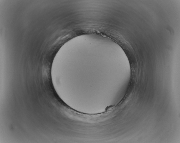 X0000113050035200909241504