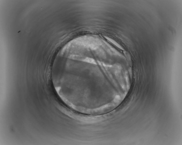 X0000113050036200909241504