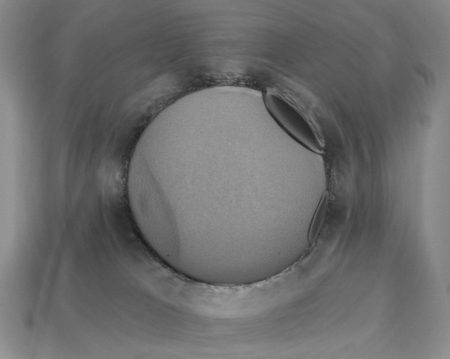 X0000113050037200909241504