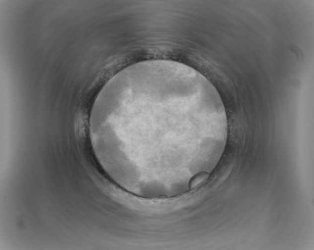 X0000113050038200909241504